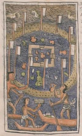 Códice Florentino 81