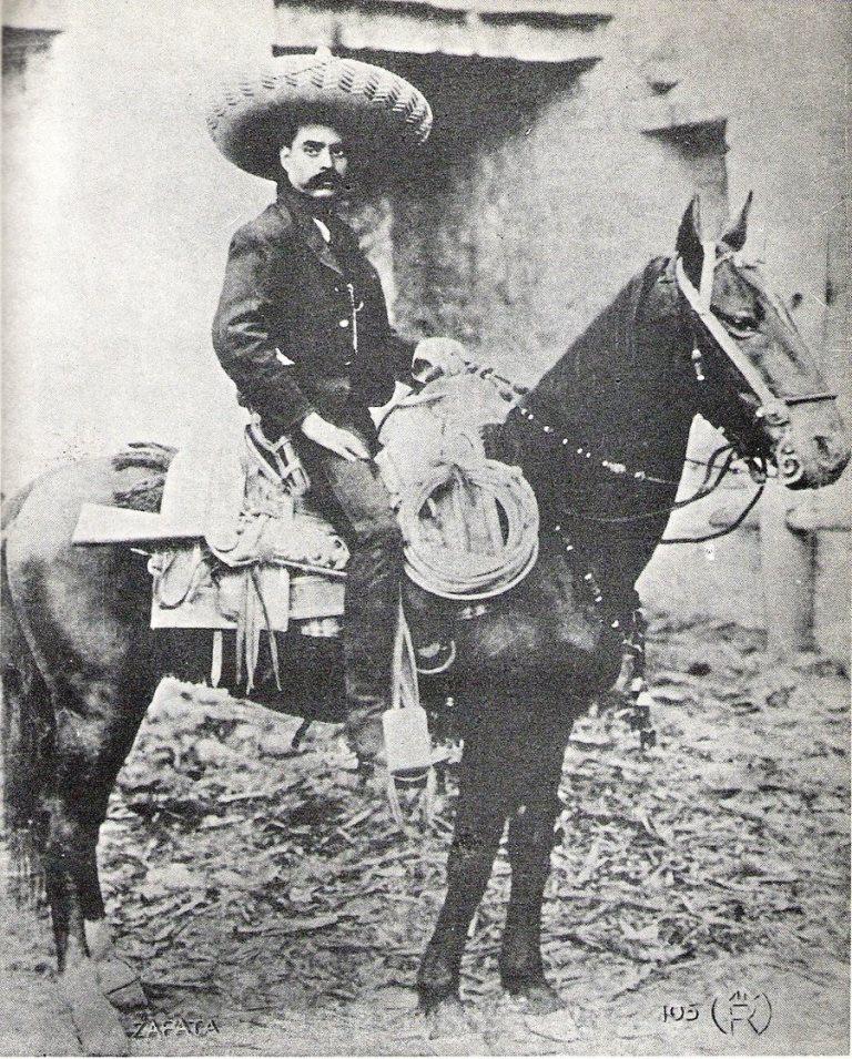 zapata5